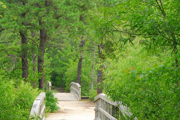 090626-104-birch-grove-park.jpg
