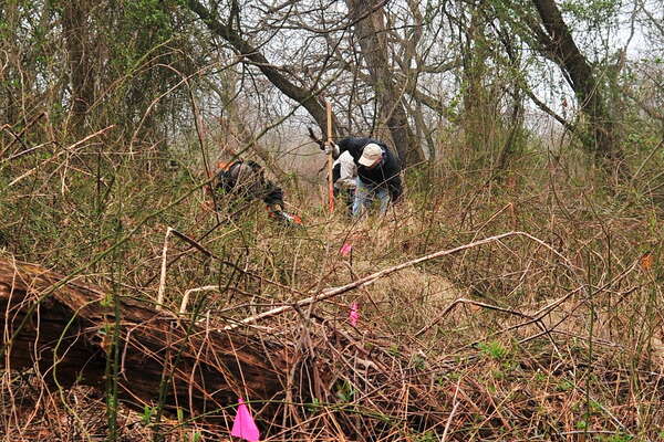 Have fun clearing that