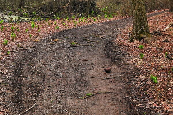 The old, bad, ugly, muddy trail. Was that too harsh?