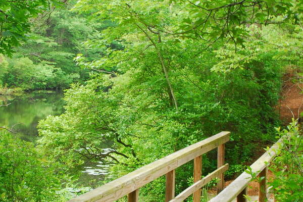 090626-115-birch-grove-park.jpg