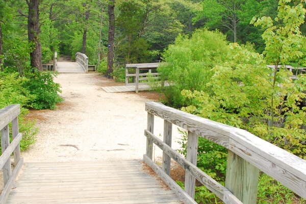 090626-106-birch-grove-park.jpg