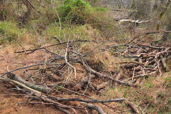 Will anyone mistake this for a trail that is open?