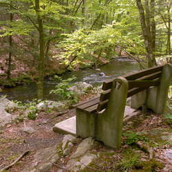 Photos of: Hacklebarney State Park -- Around the Park - 06/27/2012