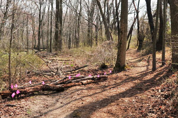 The second trail is officially open