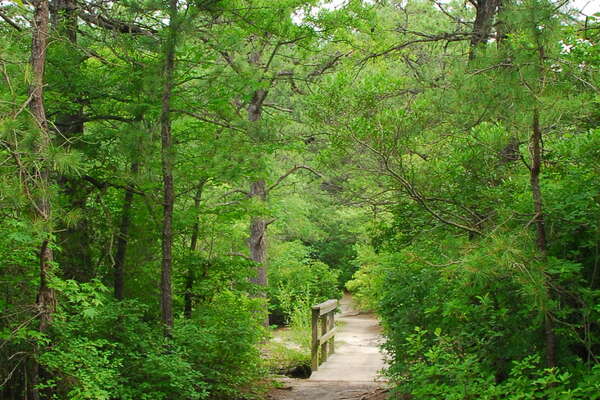 090626-109-birch-grove-park.jpg