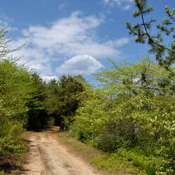 Featured Place: Cheesequake State Park