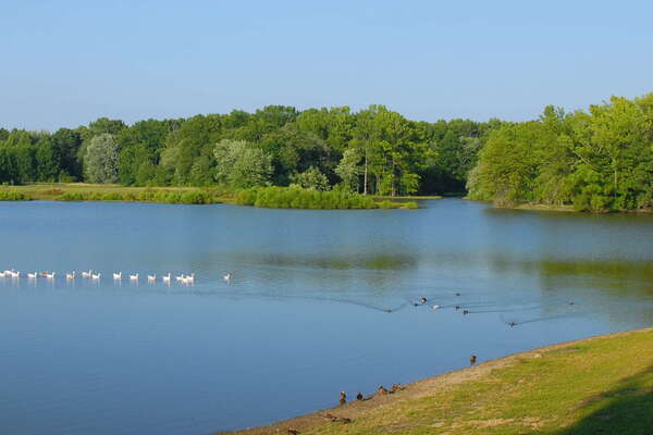 Dog area in Hamilton Veterans Park