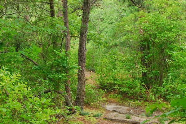 090626-113-birch-grove-park.jpg