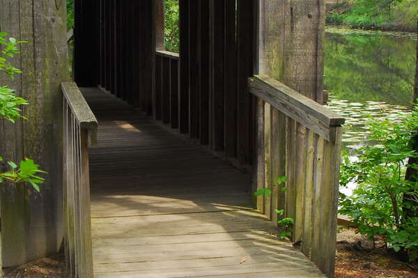 090626-148-birch-grove-park.jpg