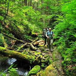 Featured Places: Tillman Ravine and Buttermilk Falls