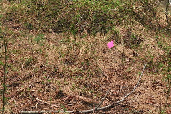 Look up the new trail