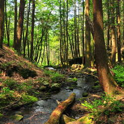 Photos of: Tillman Ravine - 04/05/2012