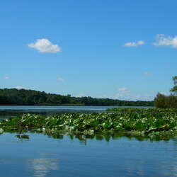 NJ State Parks and Many County Parks Reopen!