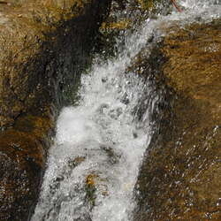 Photos of: Hacklebarney State Park -- Waterfalls / River - 06/27/2012