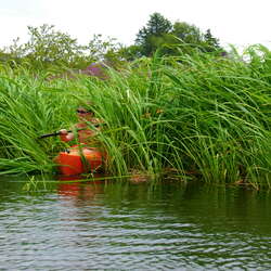 Photos Of: Forge Pond - General - 09/13/2012