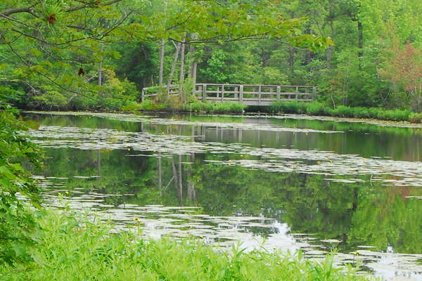 090626-102-birch-grove-park.jpg