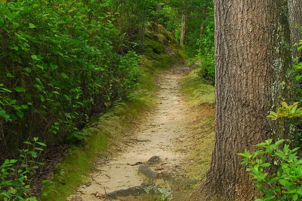 090626-116-birch-grove-park.jpg