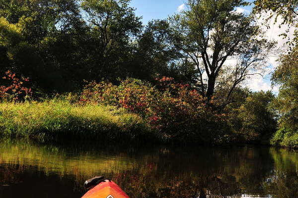 Nice open areas heading upstream