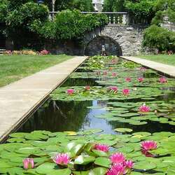 New Jersey State Botanical Garden