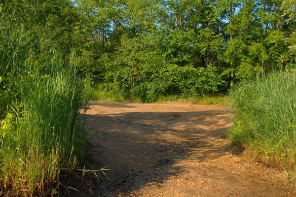 Manasquan River Wildlife Management Area