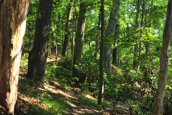 Trails around the group campground