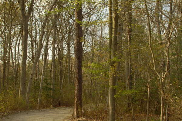 Walking trails around the picnic/playground area of the park