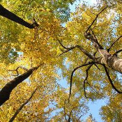 Sourland Mountain Preserve