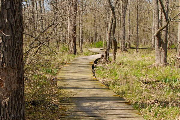 Trails in Lord Stirling Park