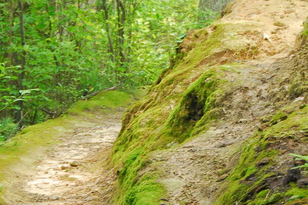 Birch Grove cAMPGROUND
