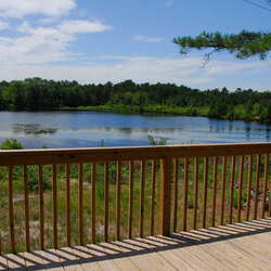 Bunker Hill Bogs Wildlife Recreation Area