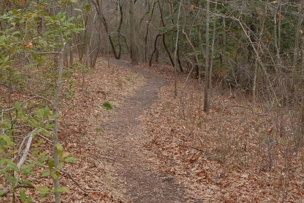 Another well work path