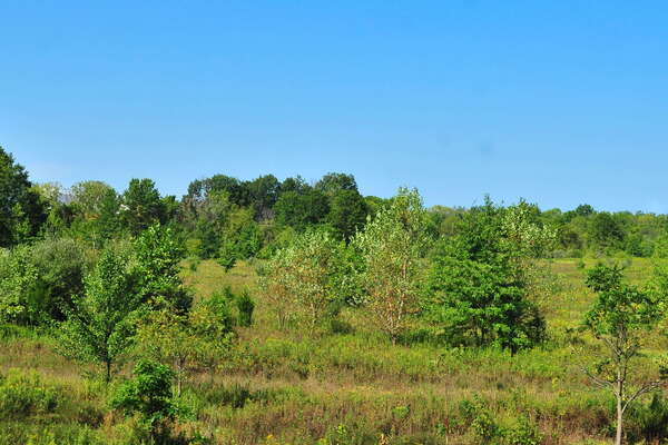 Scenic ride on the Black River and Western Railroad