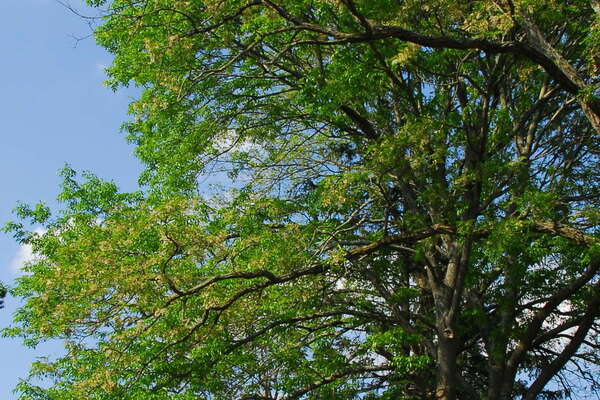 Windward Beach Park, Brick, NJ