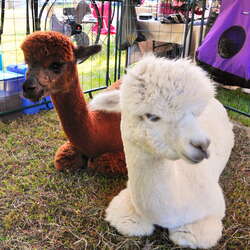 Recently Added Locations, Groups, Galleries, and More (October, 2014)