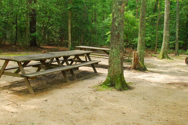 Birch Grove cAMPGROUND