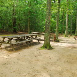 Birch Grove Campground (closed)