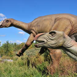 Field Station: Dinosaurs