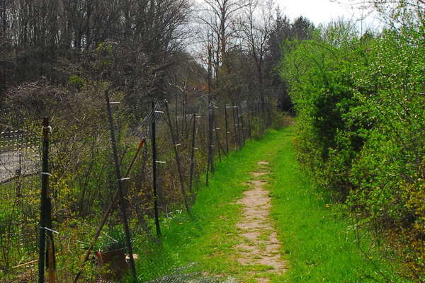Trails in Lord Stirling Park
