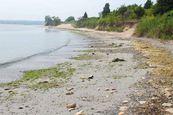 Fishermans Cove, Manasquan