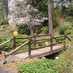 Laurelwood Arboretum