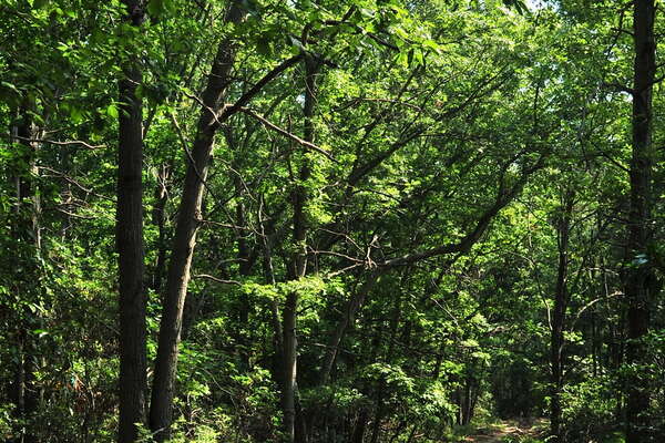 Trails around the group campground
