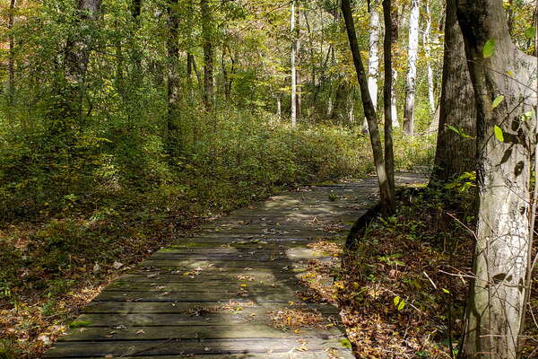 Fall HIking in Lord Sitrling Park