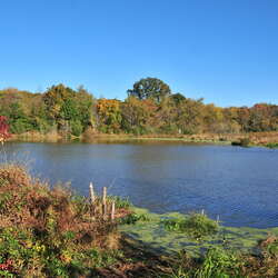 Crosswicks Creek Park