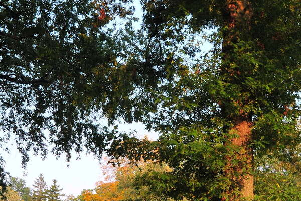 Sunset photos = good times