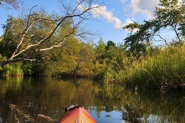 Downstream on the Metedeconk - 2