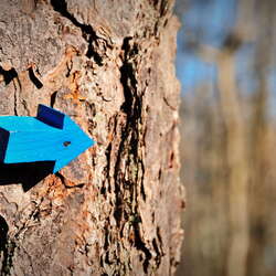 A Winter Walk Though the Forest Resource Education Center (2014) - 11/03/2015