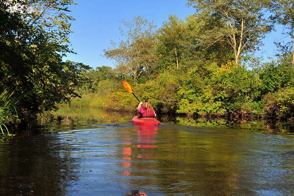 Downstream on the Metedeconk - 3