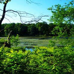 Allamuchy Mountain State Park