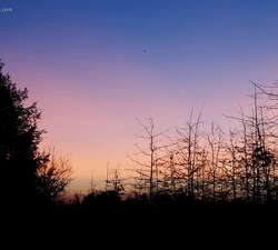 Lawrence Hopewell Trail (LHT)