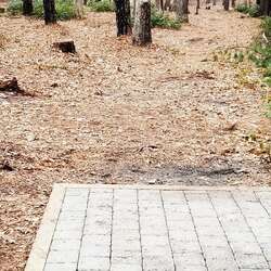 A stroll through the new Allaire State Park Disc Golf Course - 03/28/2018